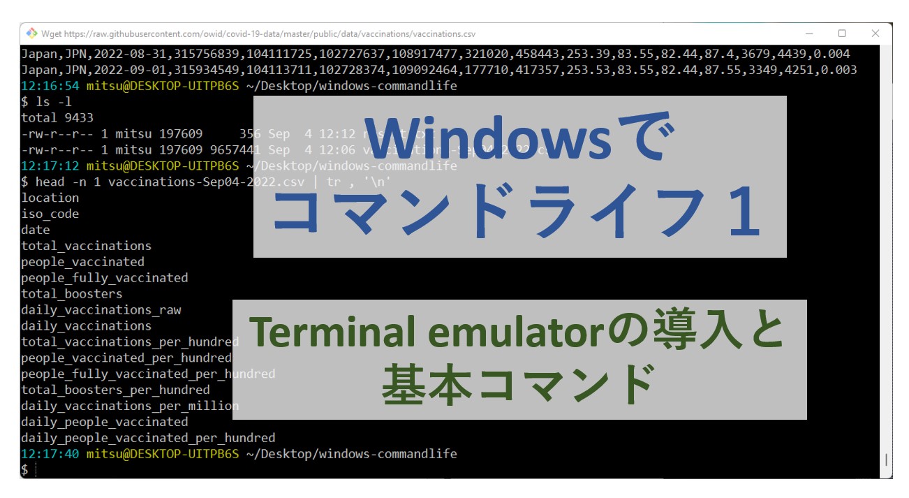 Windowsでコマンドライフ１ Terminalエミュレーターの導入と基本コマンド うちの実験的web